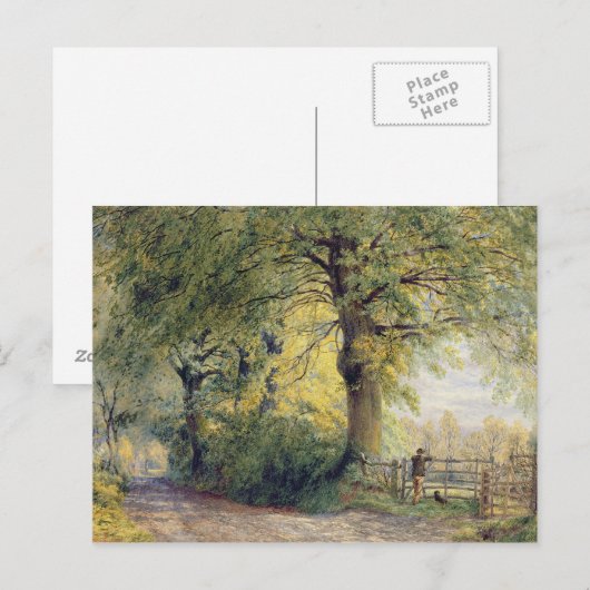 Unter den Buchen Postkarte (Vorne/Hinten)