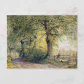 Unter den Buchen Postkarte (Vorderseite)
