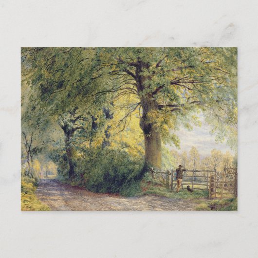 Unter den Buchen Postkarte (Vorderseite)
