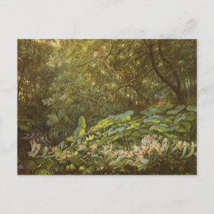 Unter den Dock-Blätter von Richard Doyle, Fairy Ar Postkarte