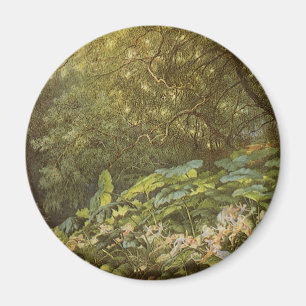 Unter den Dockblättern von Richard Doyle, Feen Kun Magnet