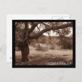 Unter den Eichen Postkarte (Vorne/Hinten)
