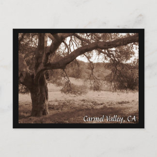 Unter den Eichen Postkarte