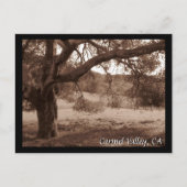 Unter den Eichen Postkarte (Vorderseite)