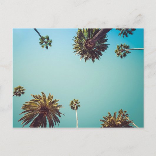 Unter den Handflächen, Foto Reise Postkarte (Vorderseite)