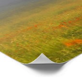 Unter den Haze Poster (Ecke)