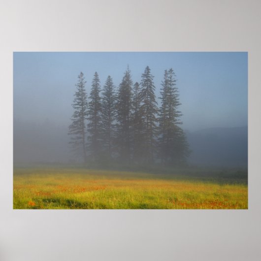 Unter den Haze Poster (Vorne)