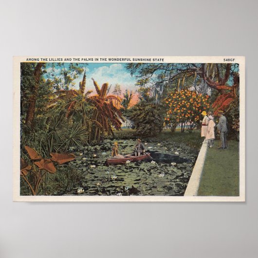 Unter den Lilien und Palmen von Florida Poster (Vorne)