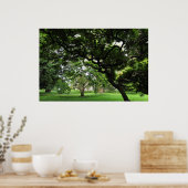 Unter den Magnolienbäumen Poster (Küche)