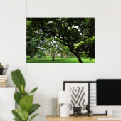 Unter den Magnolienbäumen Poster (Heimbüro)