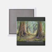 Unter den Redwoods Magnet (Vorderseite/Rückseite)