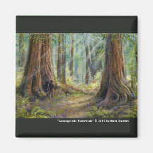 Unter den Redwoods