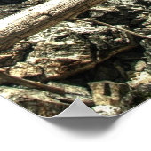 Unter den Wasserfällen Poster (Ecke)