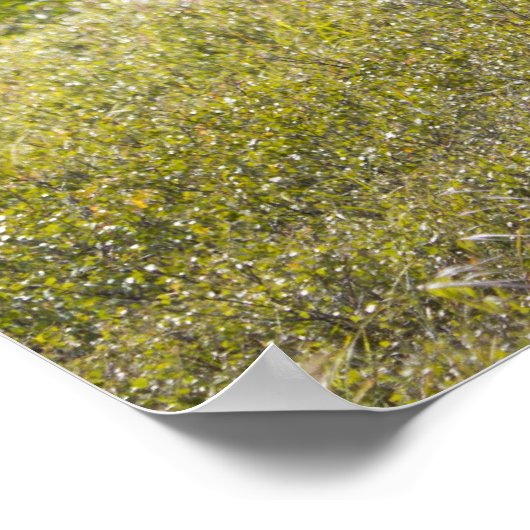 Unter den Weiden steht ein großer Bullenmaus Poster (Ecke)