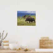 Unter den Weiden steht ein großer Bullenmaus Poster (Küche)