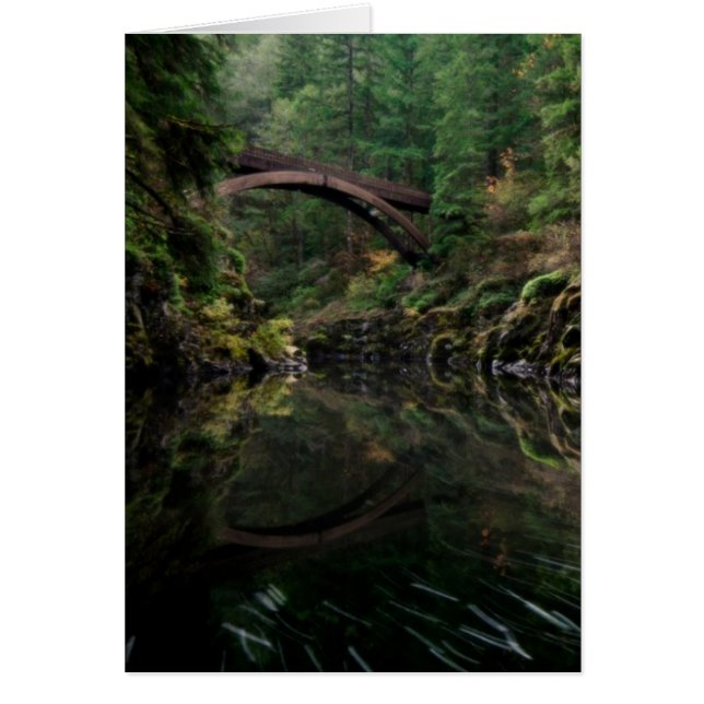 Unter der Brücke (Vorne)