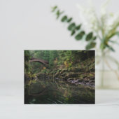 Unter der Brücke Postkarte (Stehend Vorderseite)