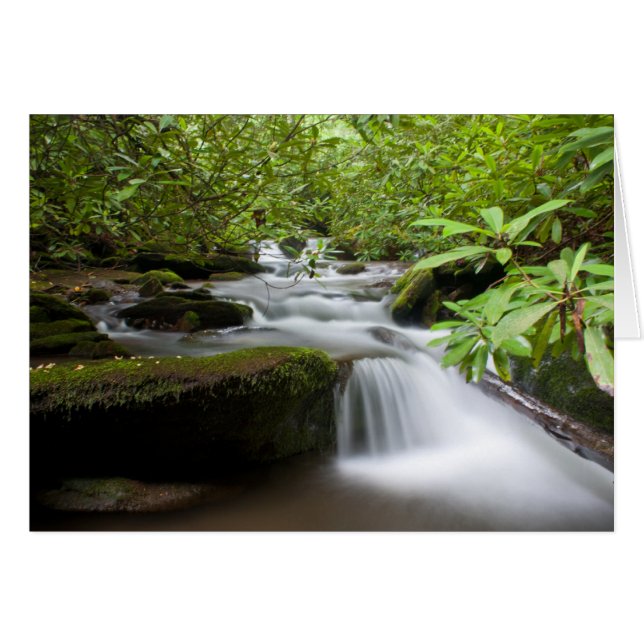 Unter der Rhododendren-Karte (Vorderseite (Horizontal))