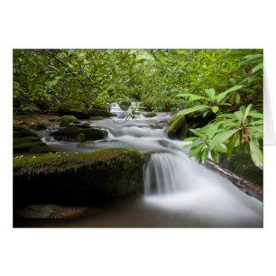 Unter der Rhododendron-Karte