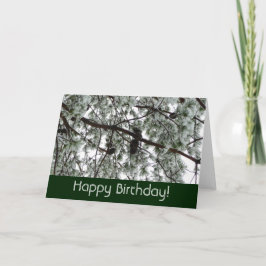 Unter der schneebedeckten Pine Birthday Card Karte
