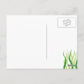 Unter der Sea Boy Birthday Party Postkarte (Rückseite)