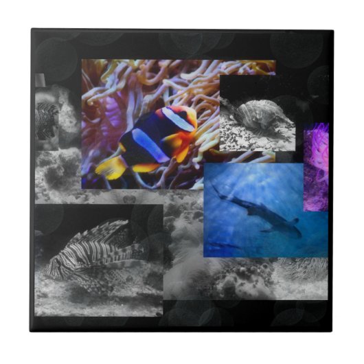 Unter der SeeKeramik-Fliese Fliese (Vorderseite)