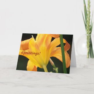 Unter der Sonne, Grüße! Karte