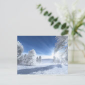 Unter der Wintersonne Postkarte (Stehend Vorderseite)