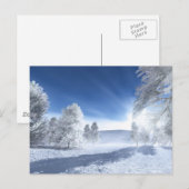 Unter der Wintersonne Postkarte (Vorne/Hinten)