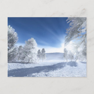 Unter der Wintersonne Postkarte