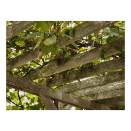 Unter einer Kulisse von Trauben Poster