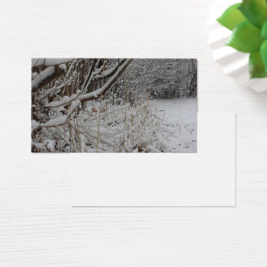 Unter einer Schneeschicht (Schreibtisch)