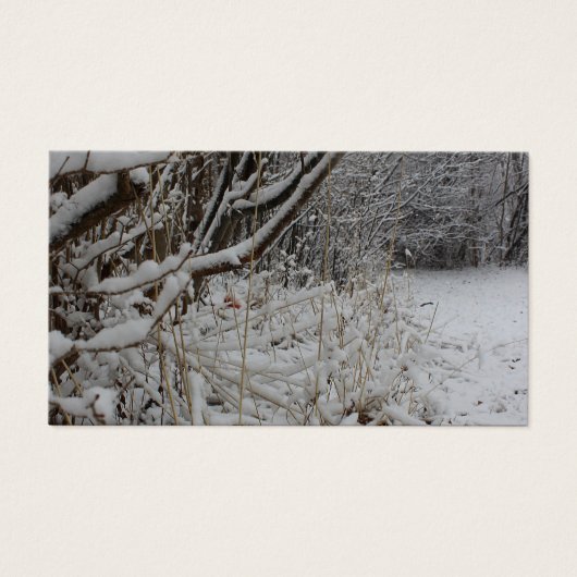 Unter einer Schneeschicht (Vorderseite)