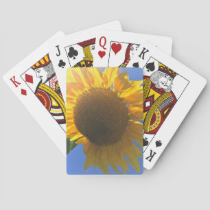 Unter einer Sonnenblume Spielkarten
