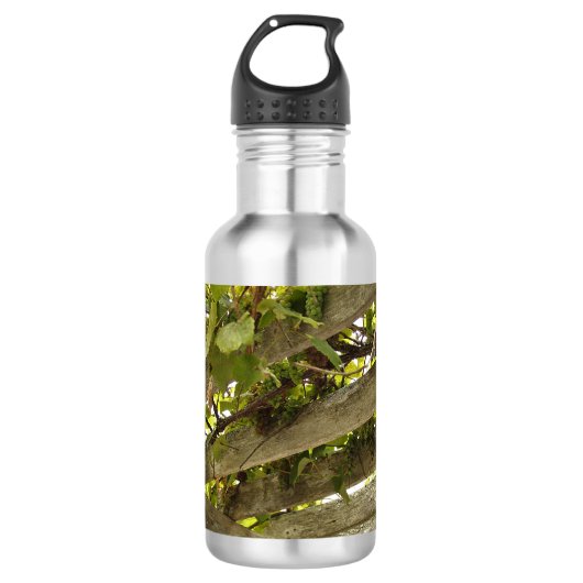 Unter einer Überdachung der Trauben Edelstahlflasche (Vorderseite)