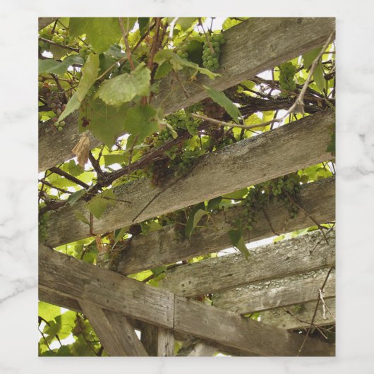 Unter einer Überdachung der Trauben Weinetikett (Einzelnes Label)