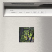 Unter einer Überdachung der Weiden Magnet (In Situ (Geschirrspüler))