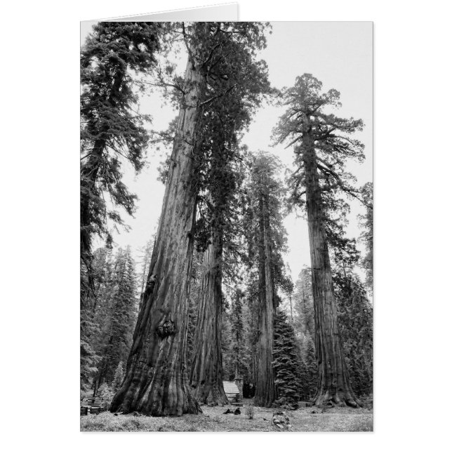 Unter Giants Karte (Vorne)