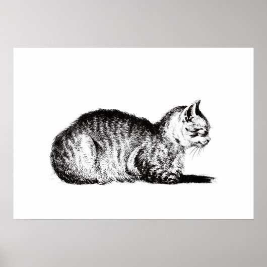 Unter Hinweis auf Katze, zu den links, Jean Bernar Poster (Vorne)