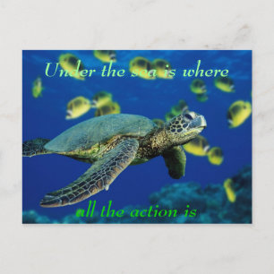 Unter Meer - Meeresschildkröte Postkarte