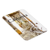 Unter Scripps Pier, Kalifornien Magnet (Rechte Seite)