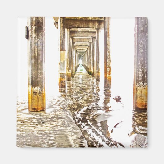 Unter Scripps Pier Magnet (Vorne)