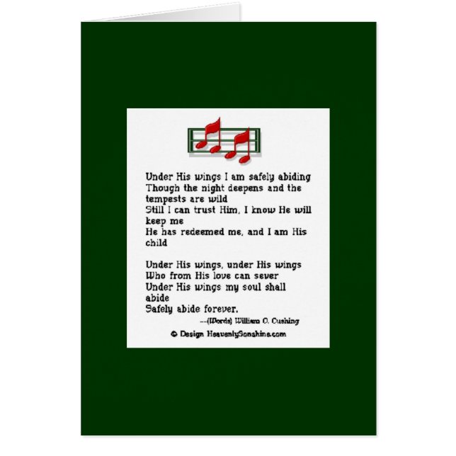 Unter seinen Flügeln (Vorne)