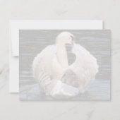 Unter seinen Flügeln schwänzen mit Cygnet-Karte Karte (Rückseite)