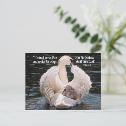 Unter seinen Flügeln schwänzen mit Cygnet-Postkart Postkarte (Stehend Vorderseite)