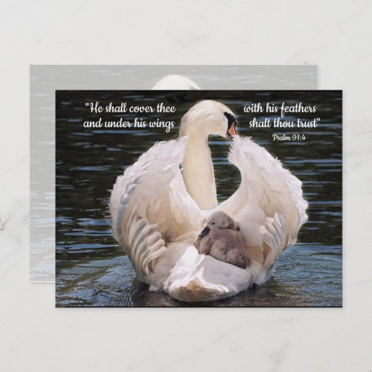Unter seinen Flügeln schwänzen mit Cygnet-Postkart Postkarte (Vorne/Hinten)