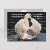 Unter seinen Flügeln schwänzen mit Cygnet-Postkart Postkarte (Vorne/Hinten)