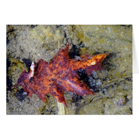 Unter Wasser (Vorderseite (Horizontal))