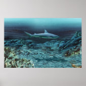 Unter Wasser 1 Poster (Vorne)