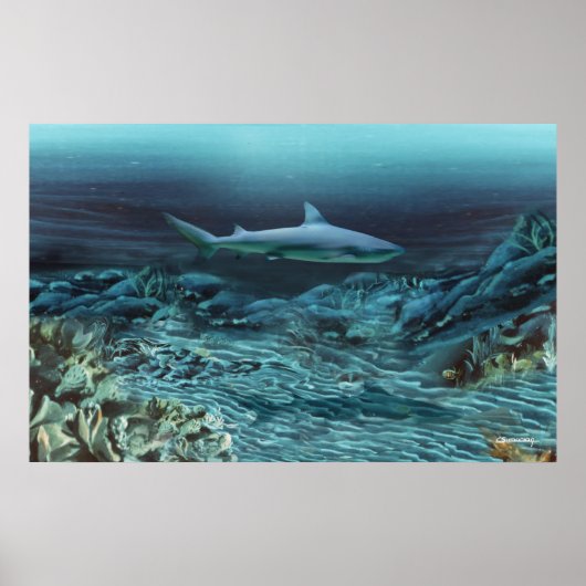 Unter Wasser 1 Poster (Vorne)